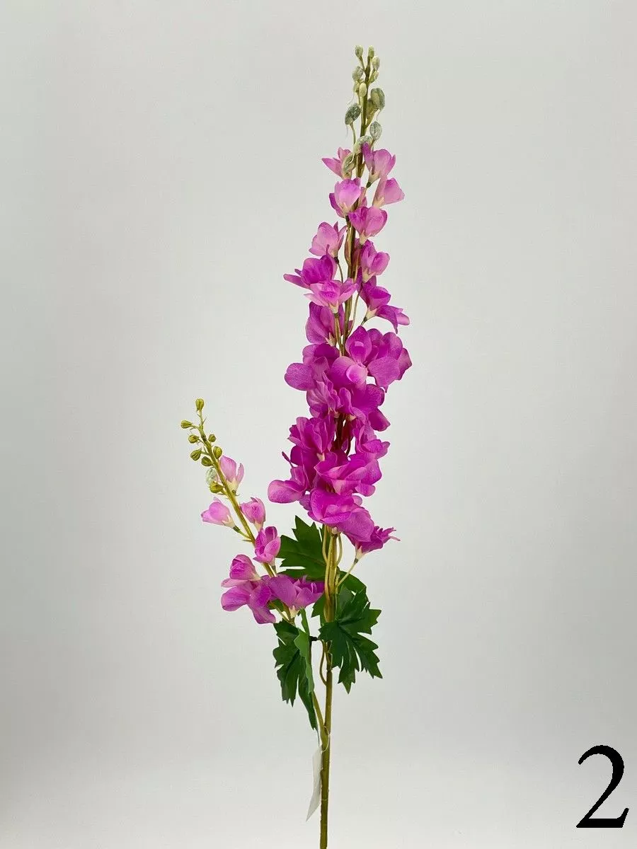 Дельфиниум PIO-123  Интернет-магазин Feron Flower 