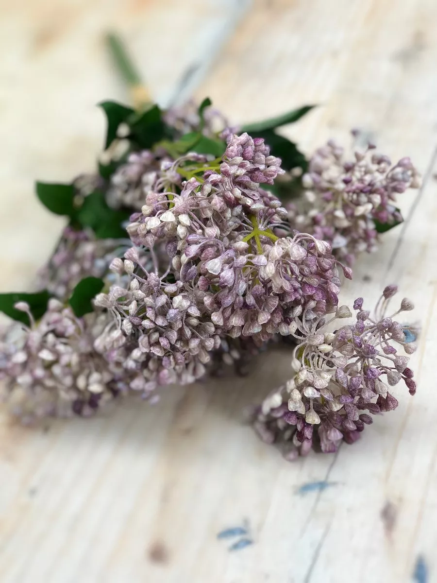 Букет зелени LIU415  Интернет-магазин Feron Flower 