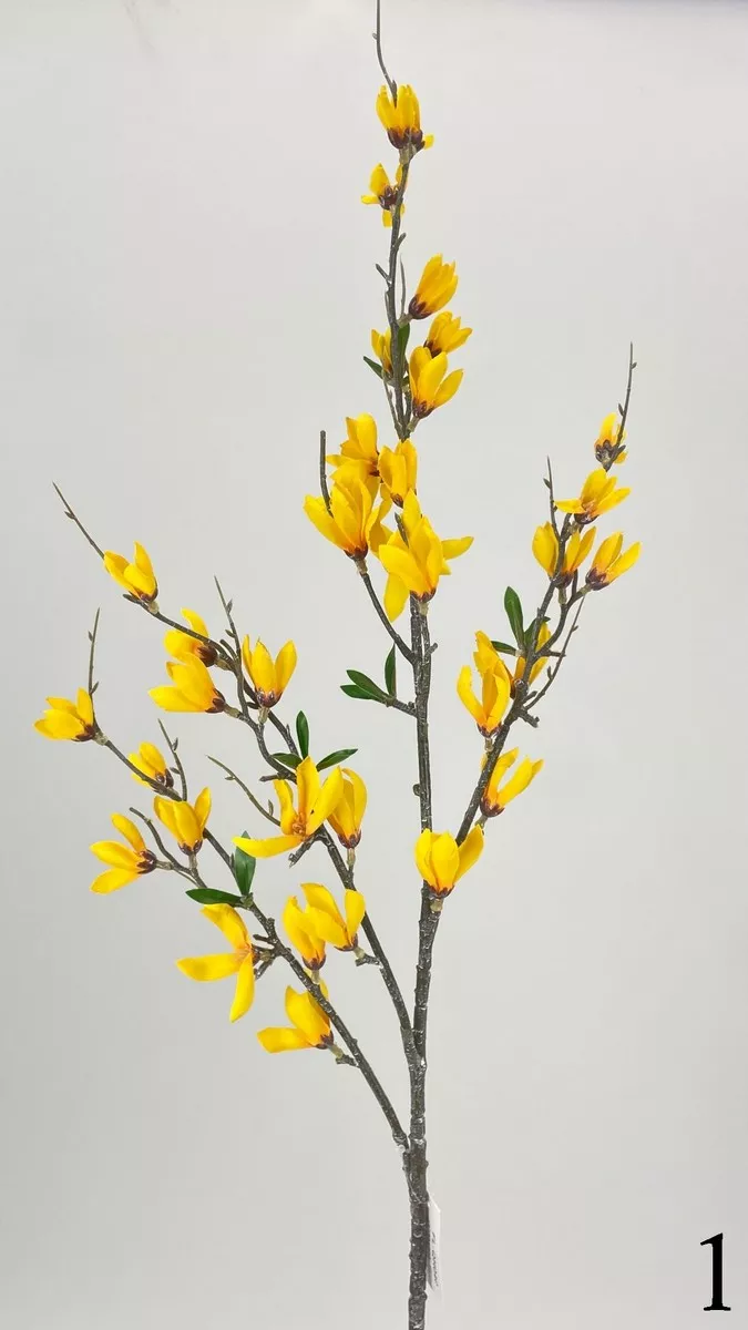 Форзиция FL-QH040  Интернет-магазин Feron Flower 