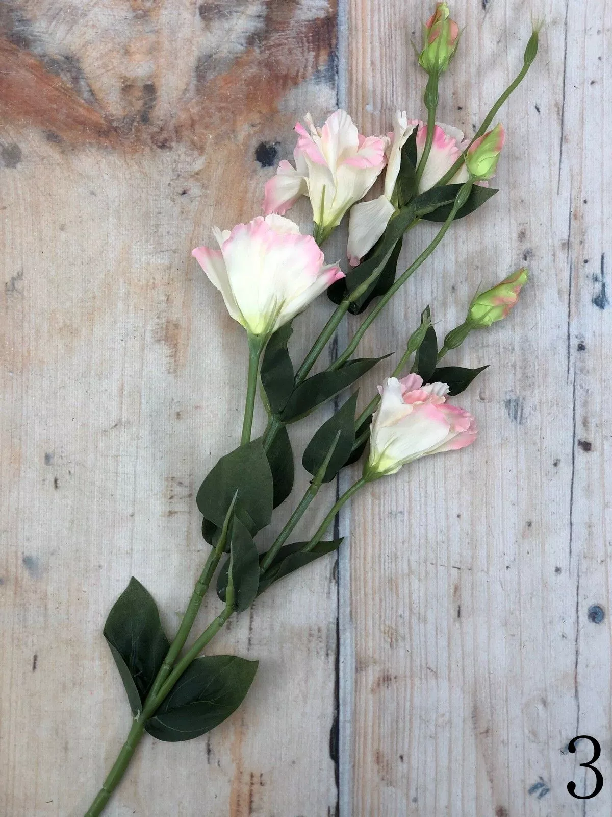 Эустома K03777  Интернет-магазин Feron Flower 