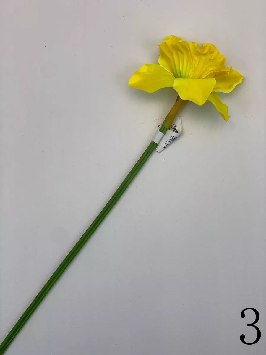 Нарцисс SUN410  Интернет-магазин Feron Flower 