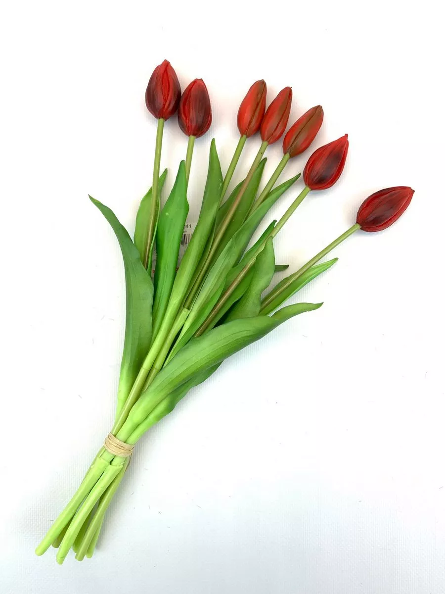 Тюльпан BU04041  Интернет-магазин Feron Flower 