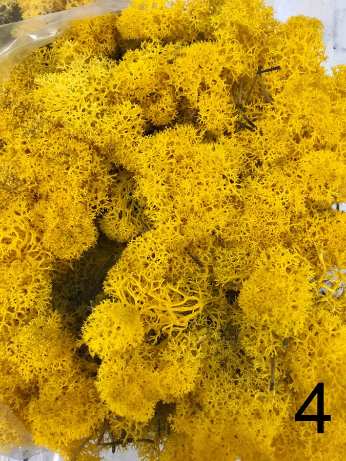 Мох L500   Интернет-магазин Feron Flower 