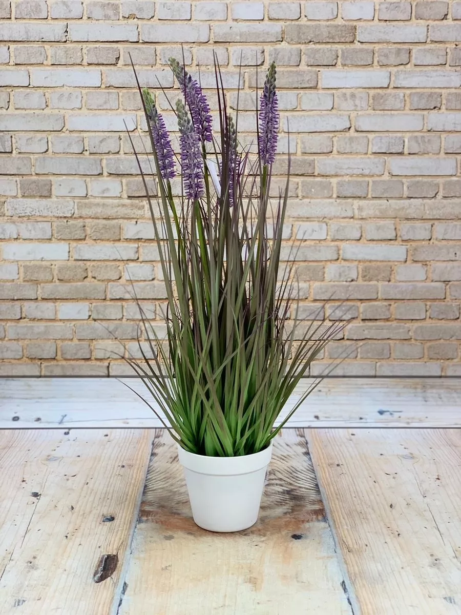 Осока TR145(5073)  Интернет-магазин Feron Flower 