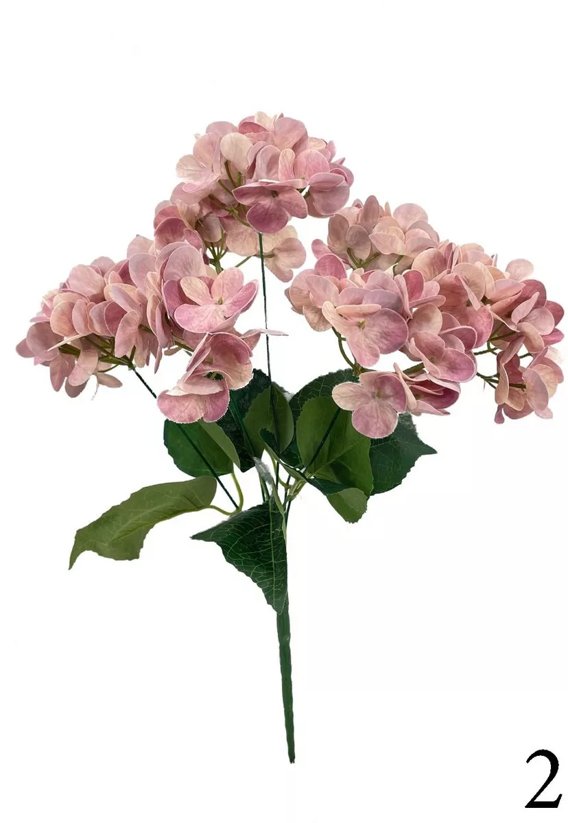 Гортензия бук TJYL013  Интернет-магазин Feron Flower 