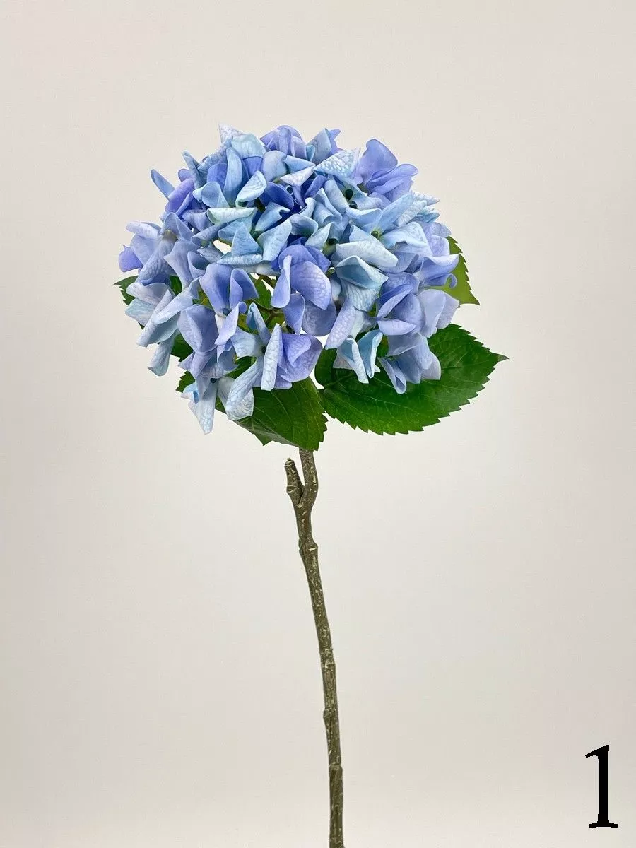 Гортензия PIO-107  Интернет-магазин Feron Flower 