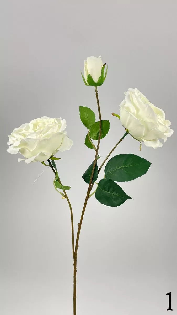 Роза кустовая FL-QH005  Интернет-магазин Feron Flower 