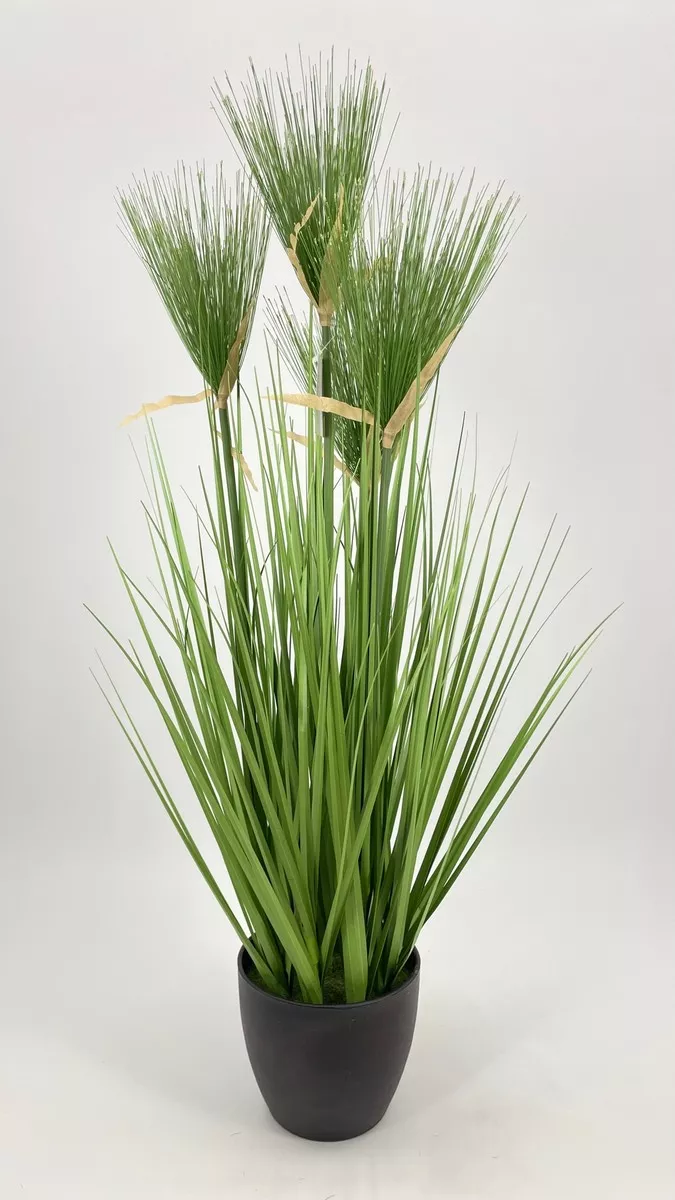 Осока в горшке 7297-G-PBG  Интернет-магазин Feron Flower 