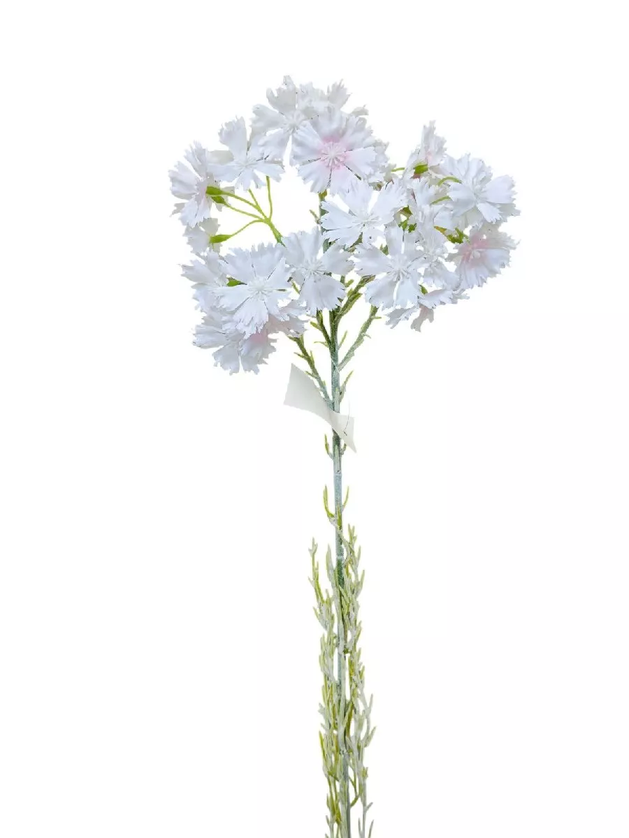 Гвоздика K04078  Интернет-магазин Feron Flower 