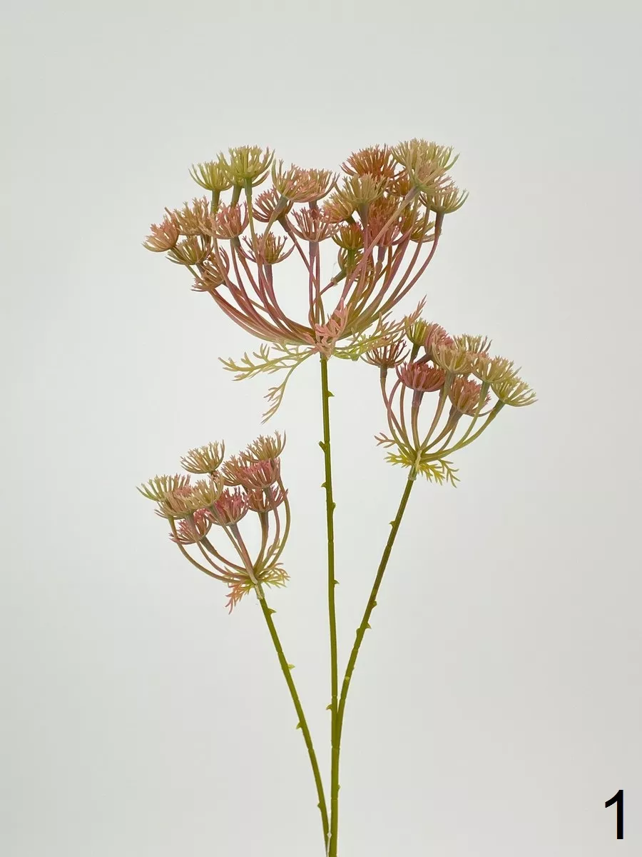 Укроп MR33-FY20  Интернет-магазин Feron Flower 