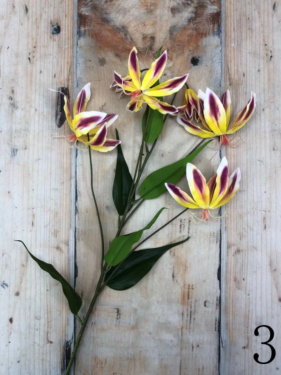 Глориоза GK009  Интернет-магазин Feron Flower 