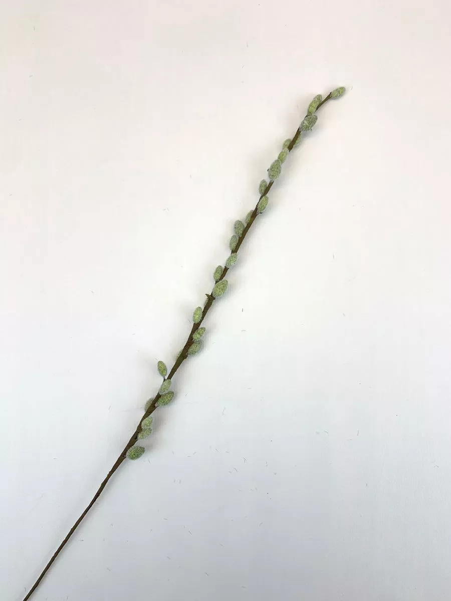 Верба 120CAN15876  Интернет-магазин Feron Flower 