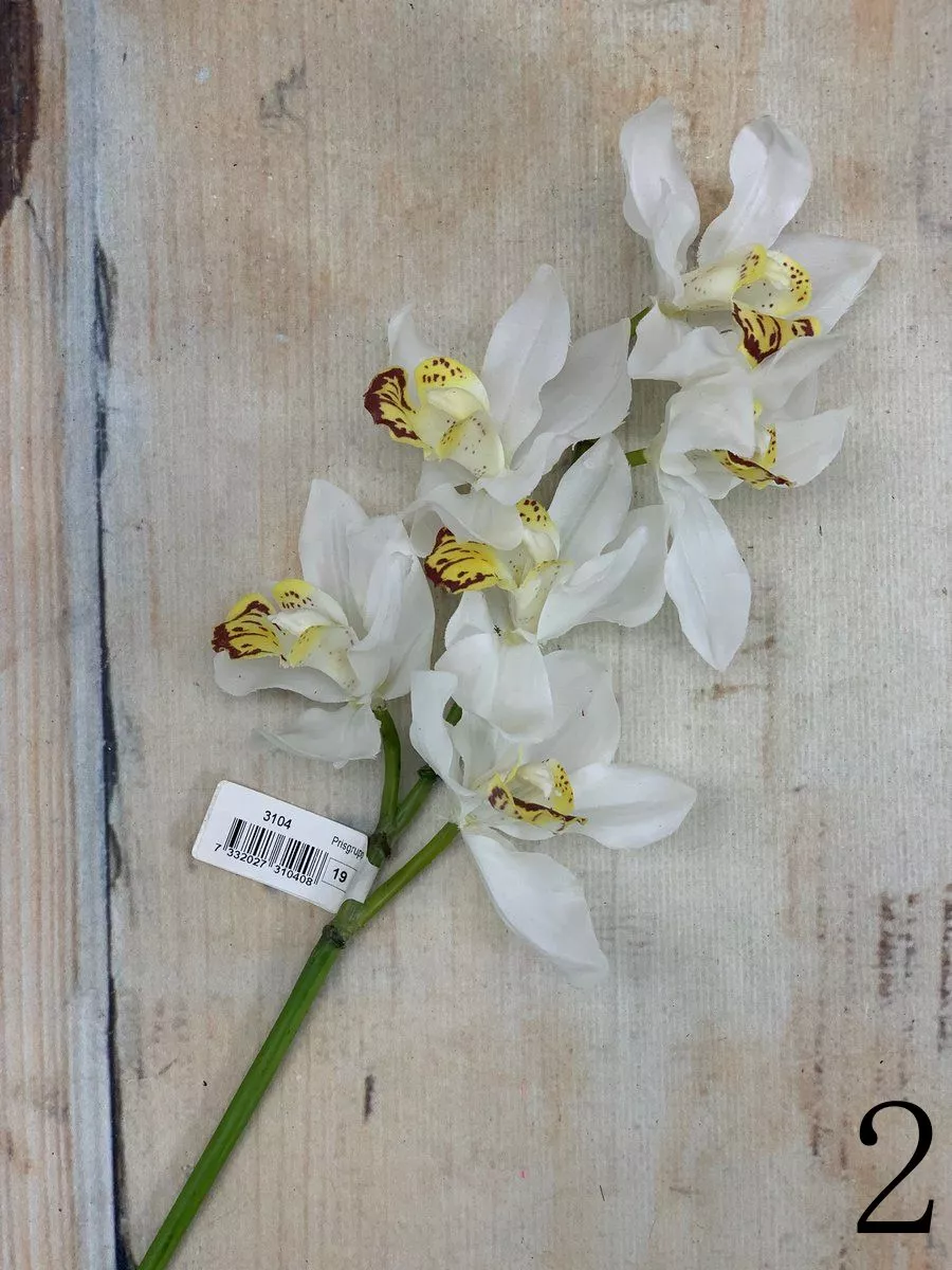 Орхидея 3106  Интернет-магазин Feron Flower 