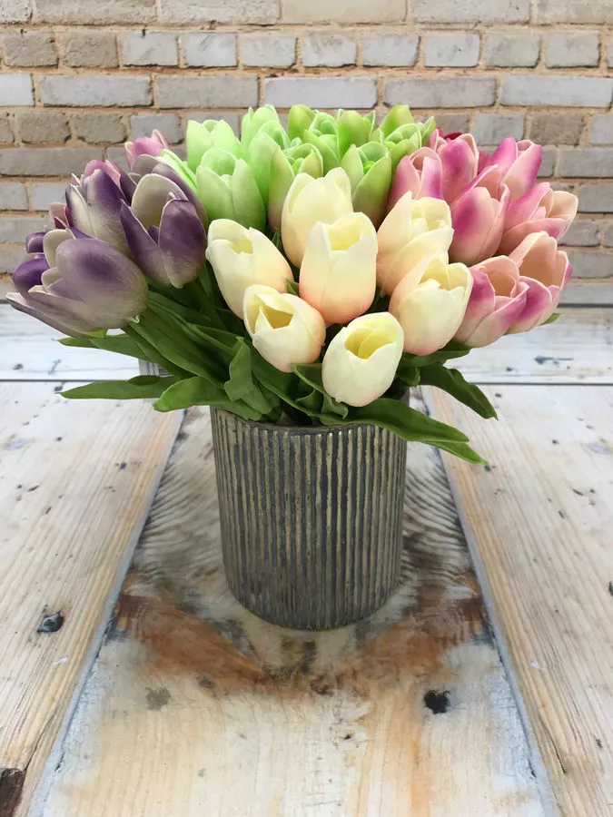 Тюльпан 81CAN056  Интернет-магазин Feron Flower 