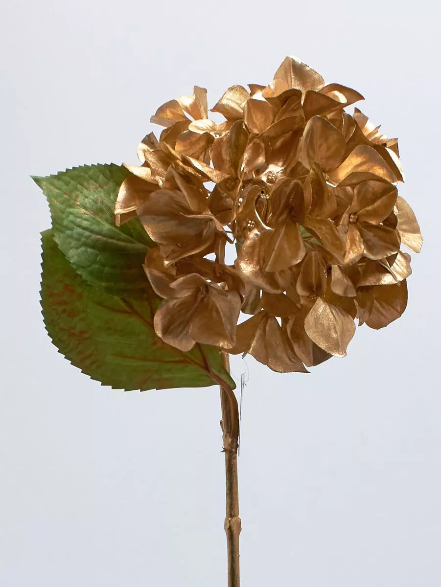 Гортензия XKLM1004  Интернет-магазин Feron Flower 