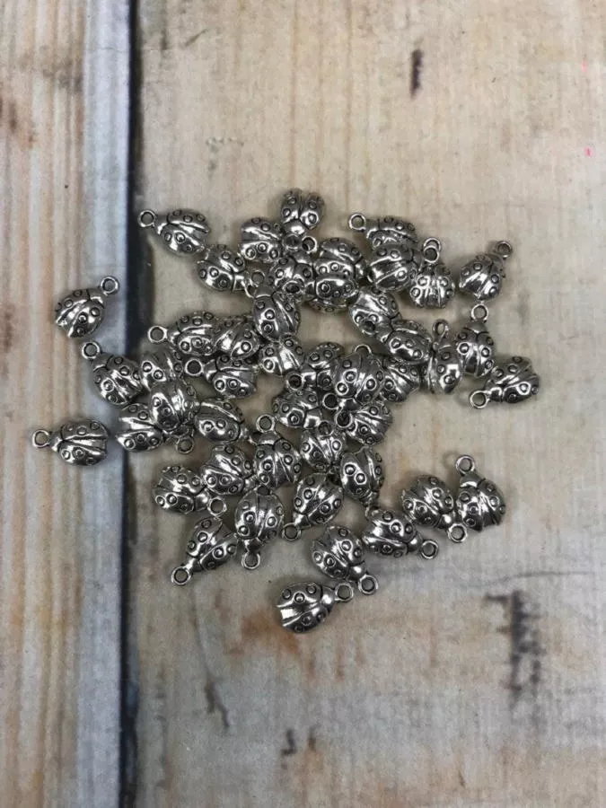 Божья кор. мет. 90gr PM117  Интернет-магазин Feron Flower 