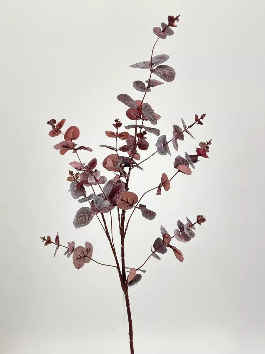Эвкалипт PIO-105  Интернет-магазин Feron Flower 