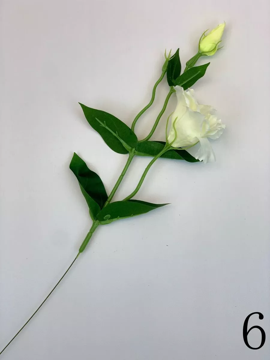 Эустома SUN357  Интернет-магазин Feron Flower 