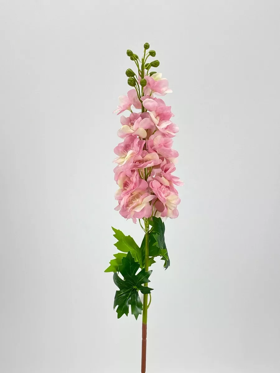 Дельфиниум PIO-122  Интернет-магазин Feron Flower 