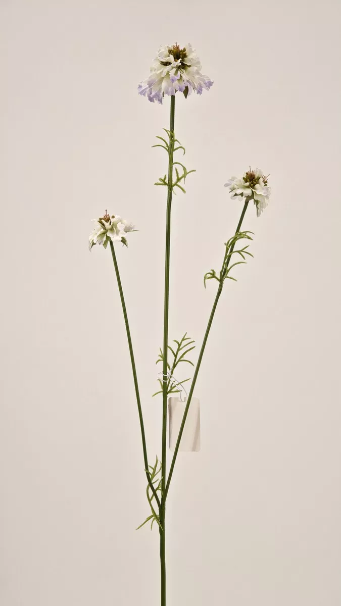 Скабиоза REN-235 сиреневый   Интернет-магазин Feron Flower 