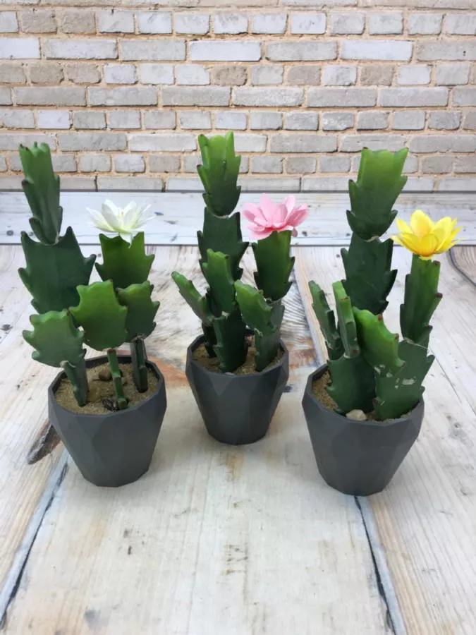 Кактус DON03365  Интернет-магазин Feron Flower 