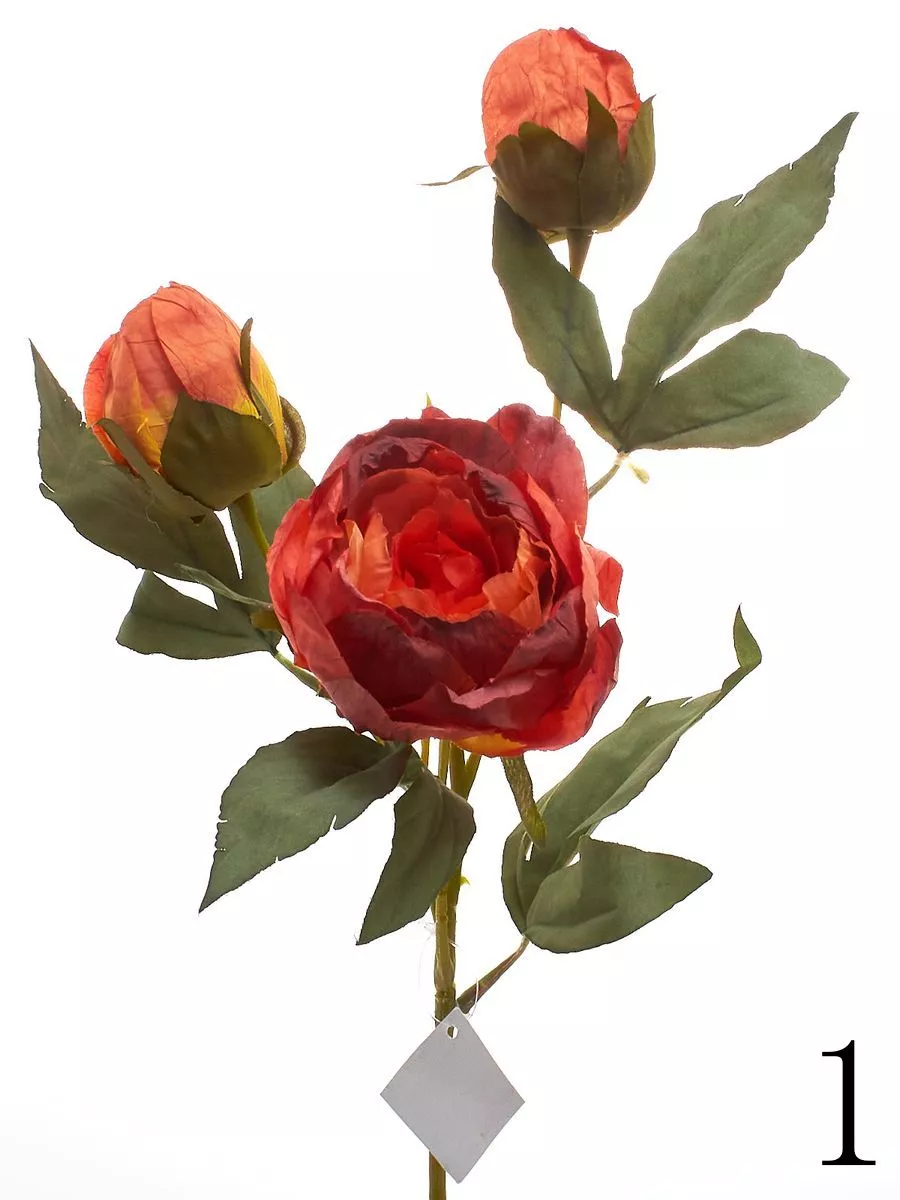 Роза K04133   Интернет-магазин Feron Flower 