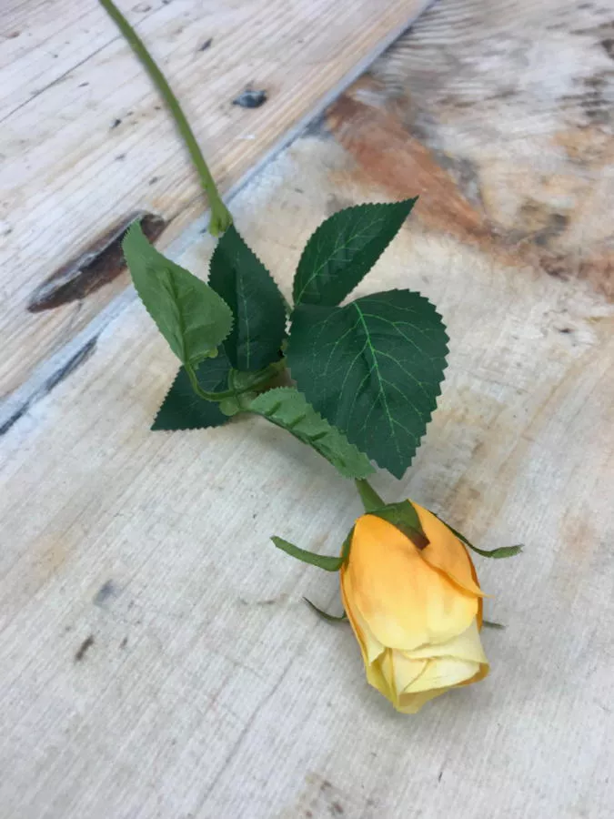 Роза MY85  Интернет-магазин Feron Flower 