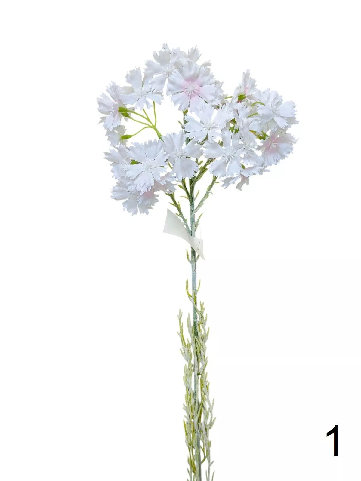 Гвоздика K04078  Интернет-магазин Feron Flower 