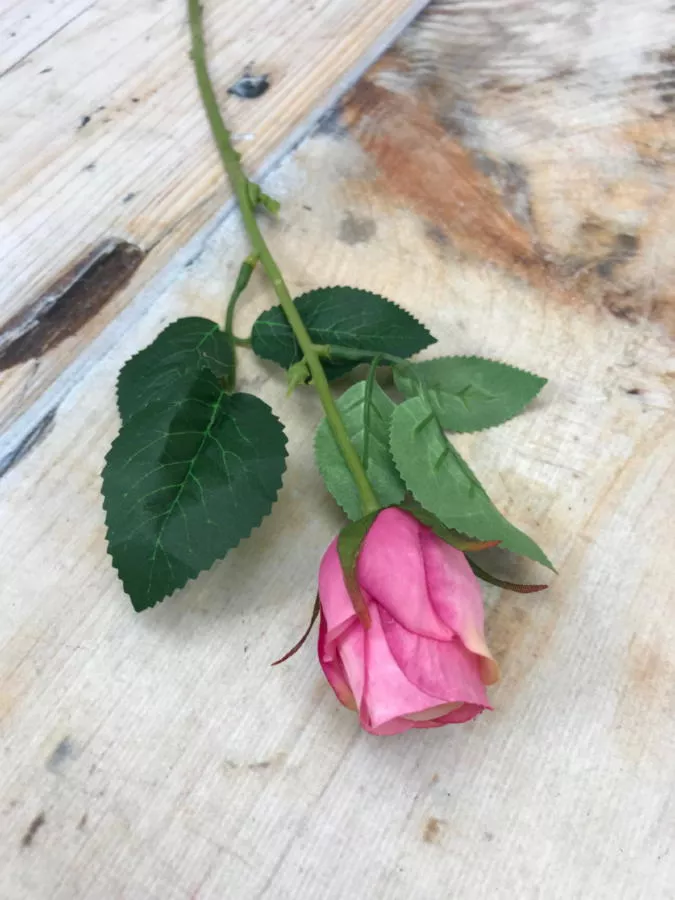 Роза MY85  Интернет-магазин Feron Flower 