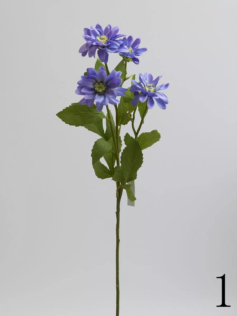 Хризантема SUN669  Интернет-магазин Feron Flower 