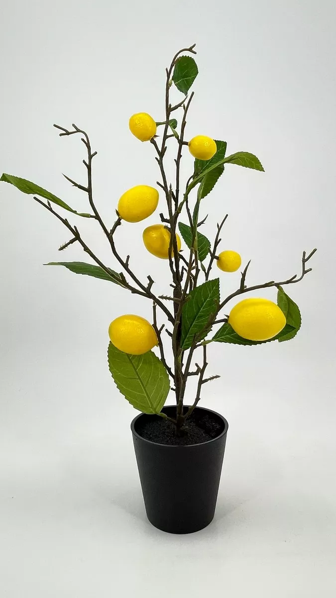 Лимонное дерево HG6615A  Интернет-магазин Feron Flower 