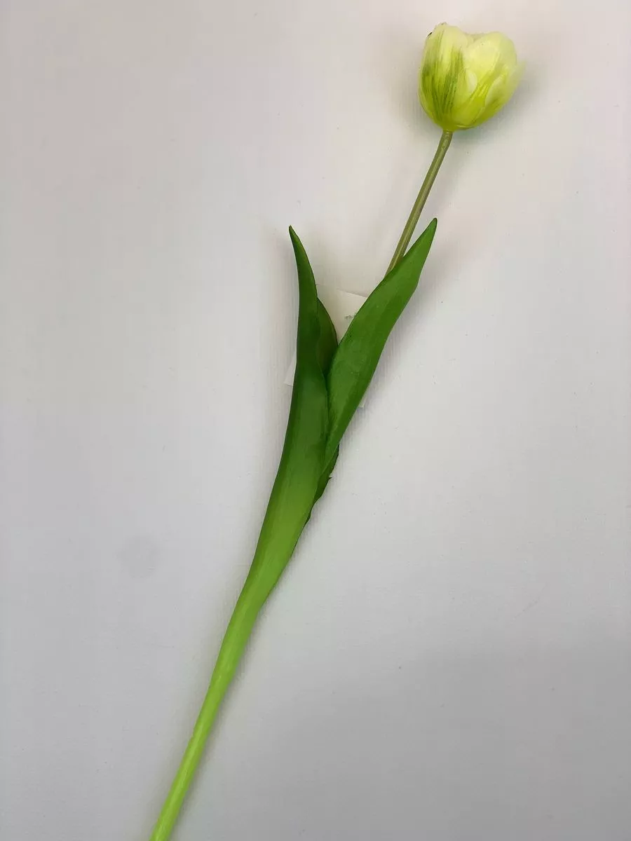 Тюльпан K04037  Интернет-магазин Feron Flower 