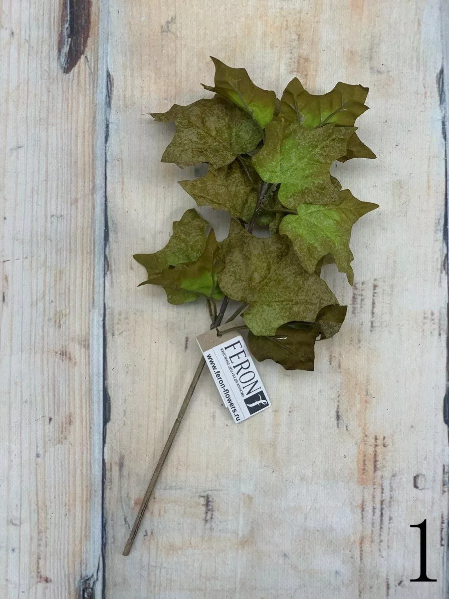 Букет зелени 209CAN1001  Интернет-магазин Feron Flower 