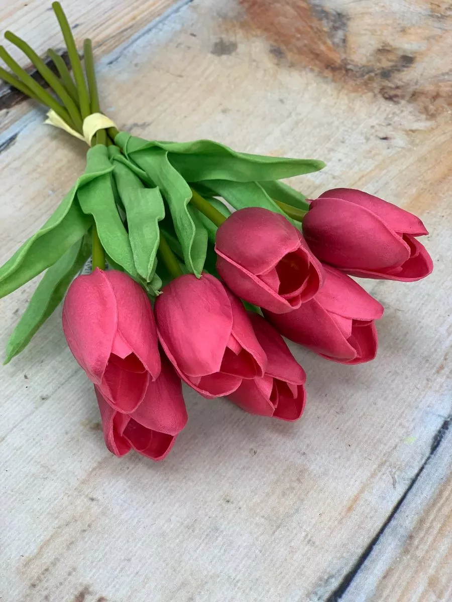 Тюльпан 81CAN056  Интернет-магазин Feron Flower 