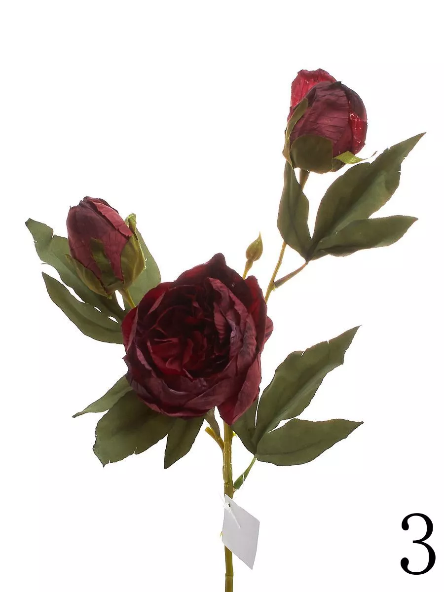 Роза K04133   Интернет-магазин Feron Flower 