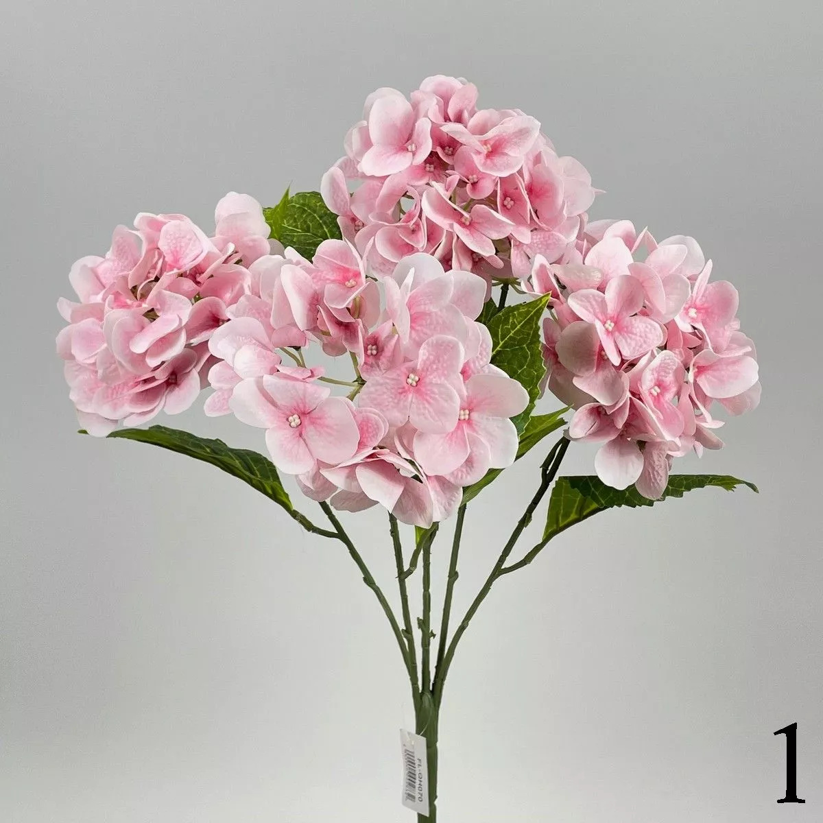 Гортензия FL-QH070  Интернет-магазин Feron Flower 
