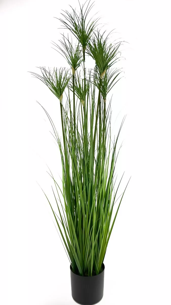 Осока в горшке 7108-BG1-DBG  Интернет-магазин Feron Flower 