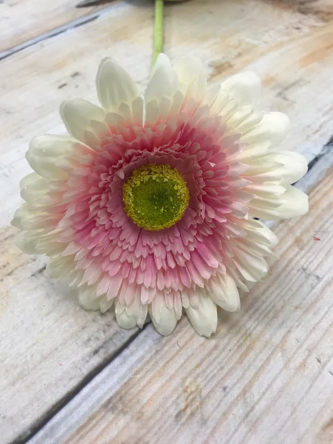 Гербера K3770  Интернет-магазин Feron Flower 