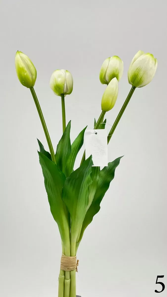 Тюльпан latex FL-QH066  Интернет-магазин Feron Flower 