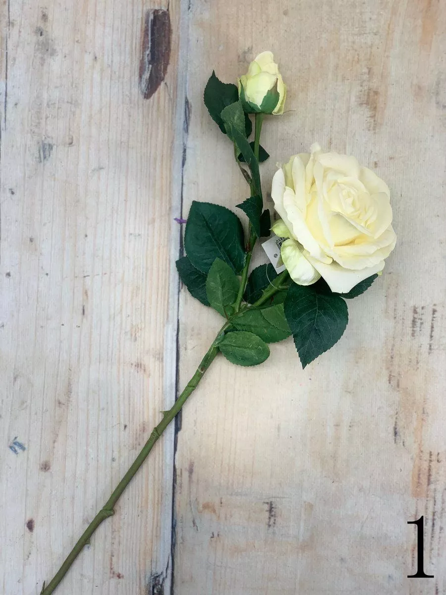 Роза 78CAN7223  Интернет-магазин Feron Flower 