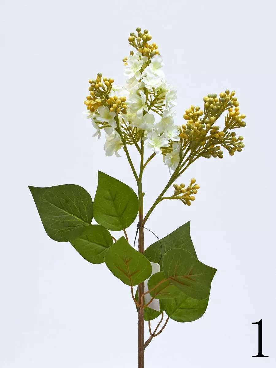 Сирень SUN301  Интернет-магазин Feron Flower 