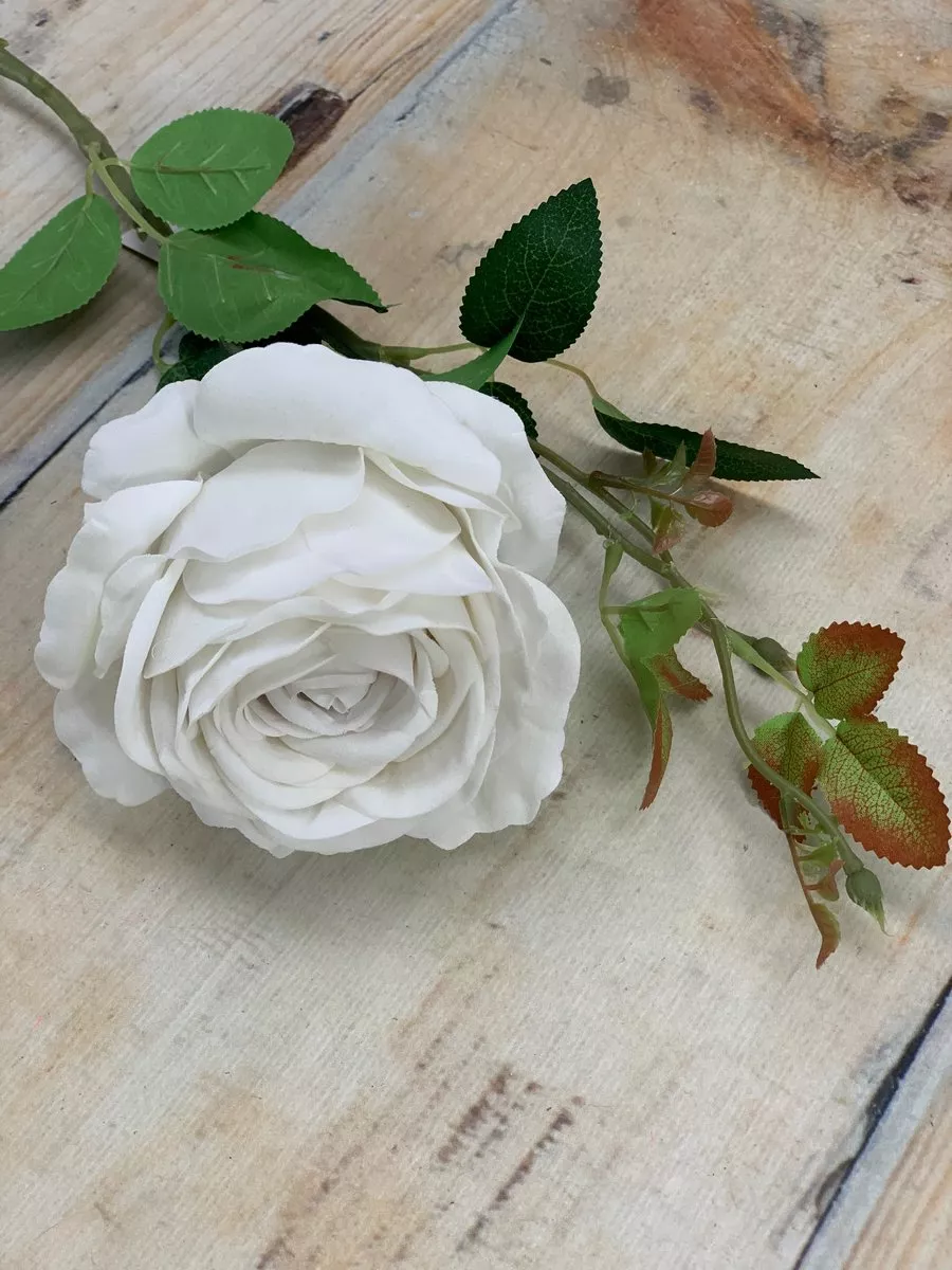 Роза ART221  Интернет-магазин Feron Flower 