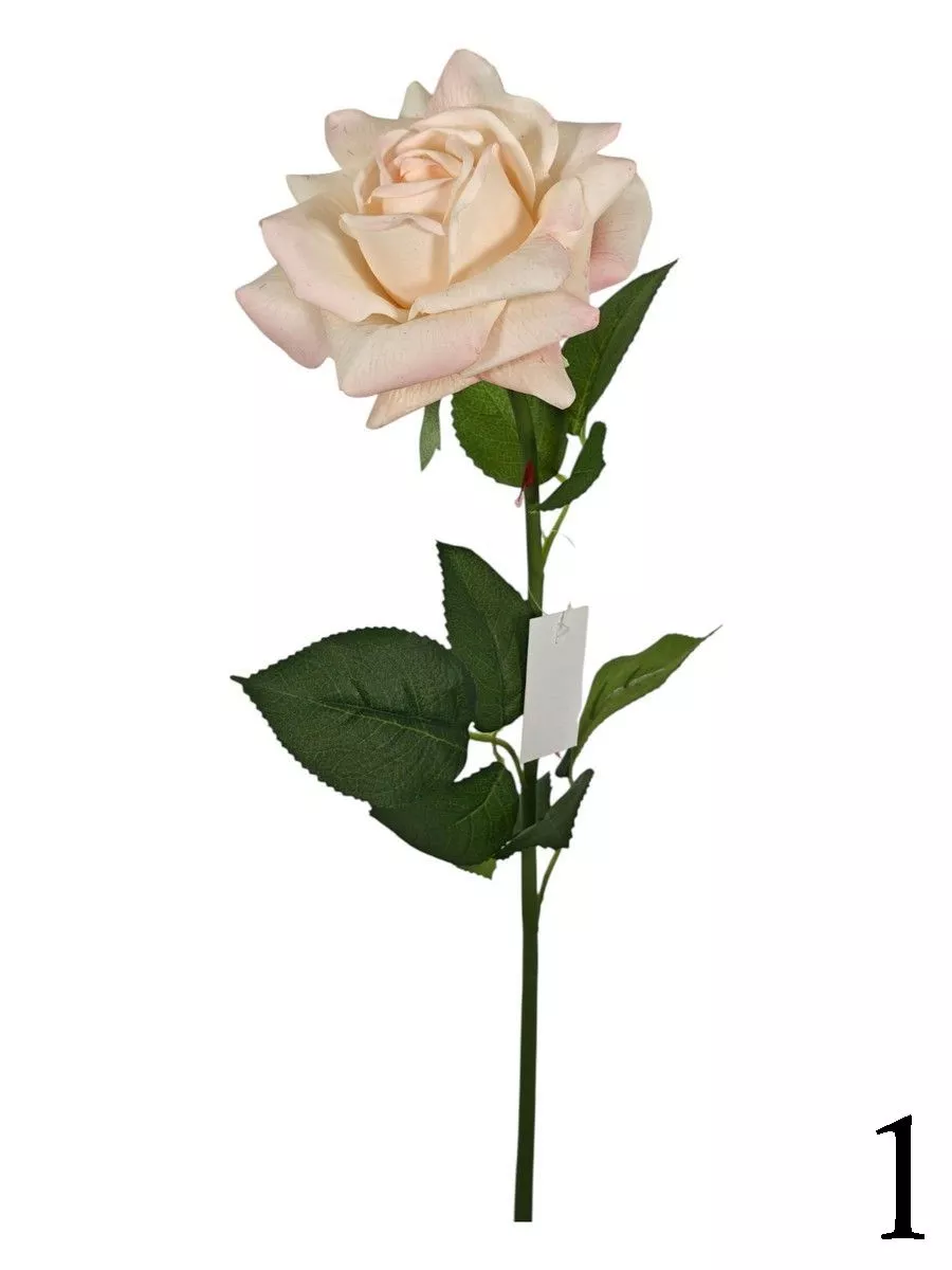 Роза FL-QH128  Интернет-магазин Feron Flower 