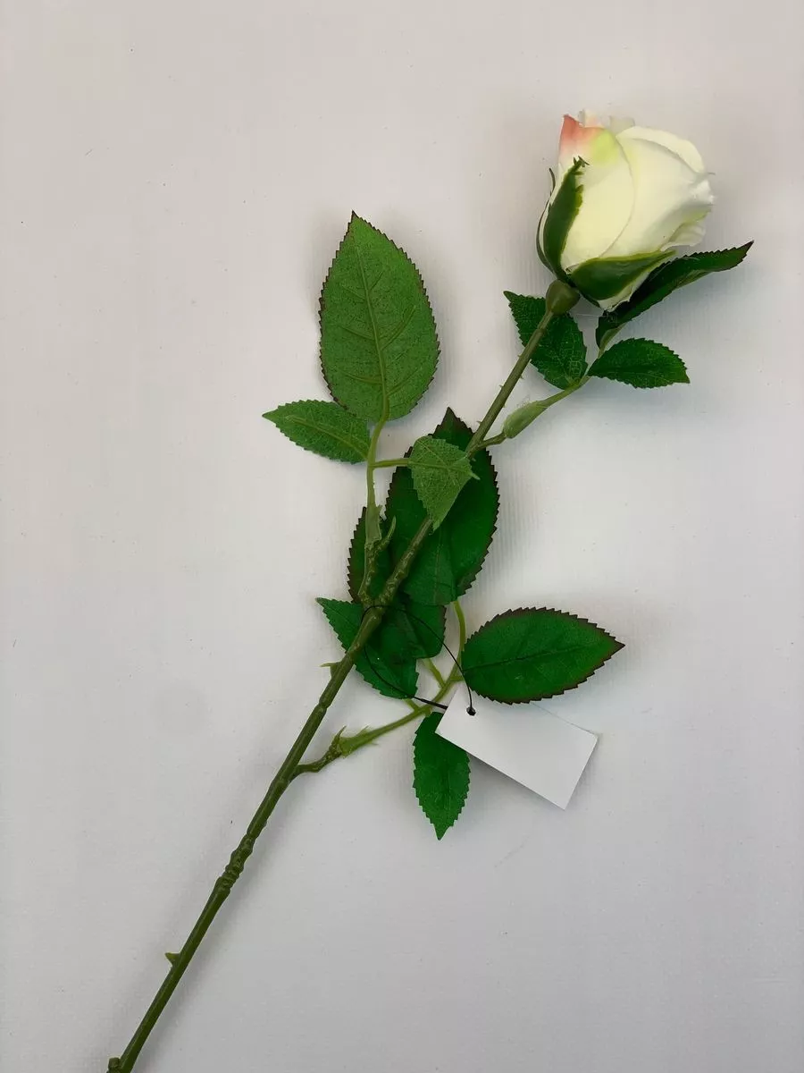 Роза SUN411  Интернет-магазин Feron Flower 