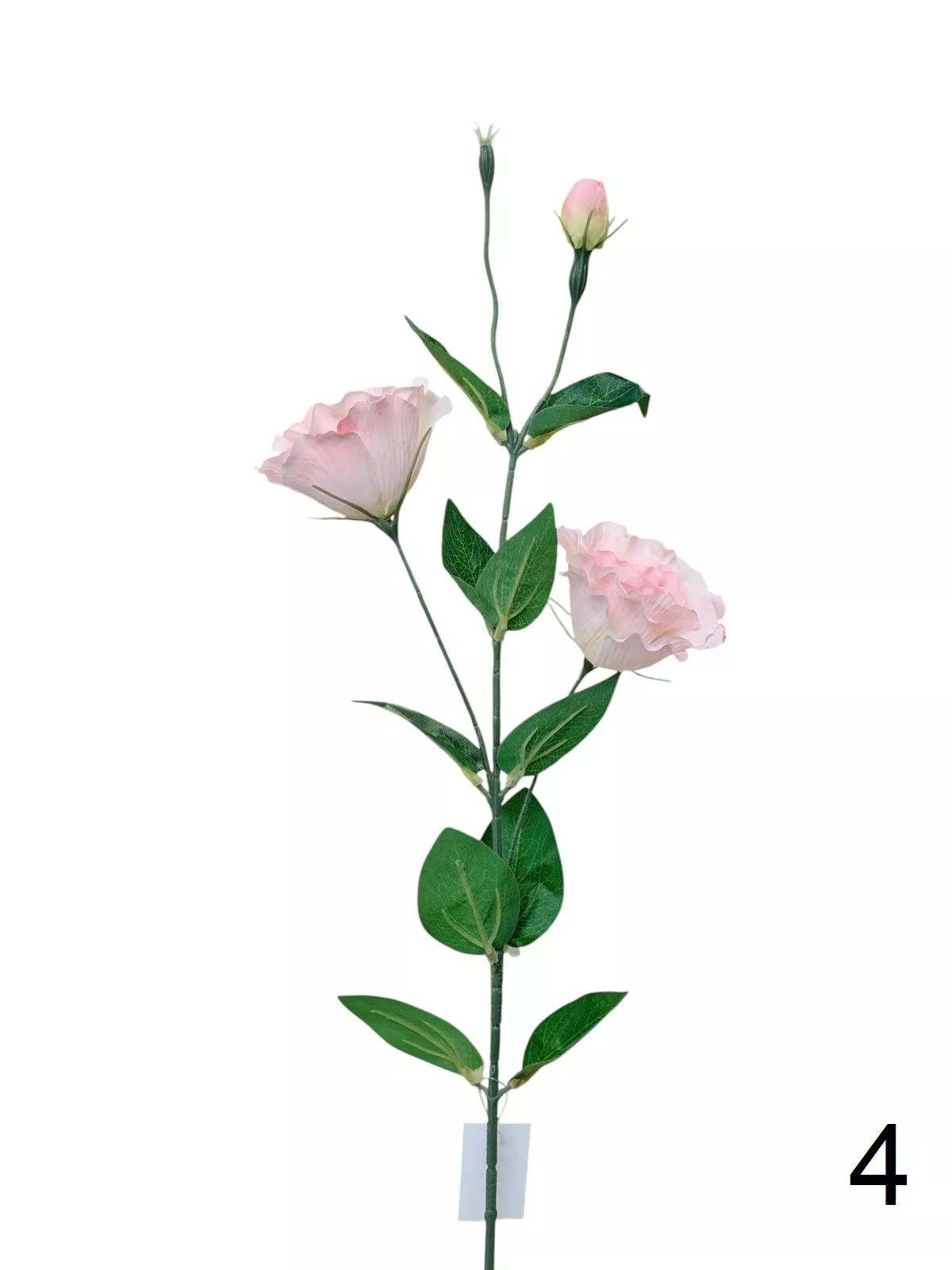 Эустома FL-QH166  Интернет-магазин Feron Flower 