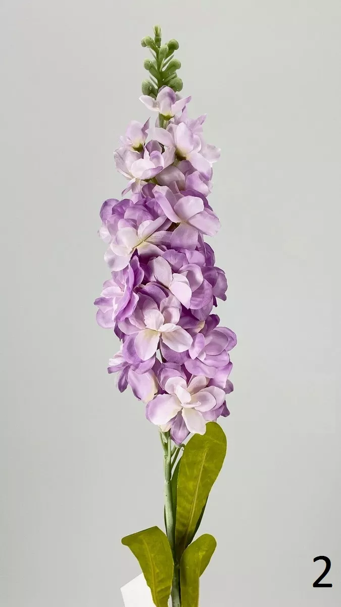 Дельфиниум MR-27747PN  Интернет-магазин Feron Flower 