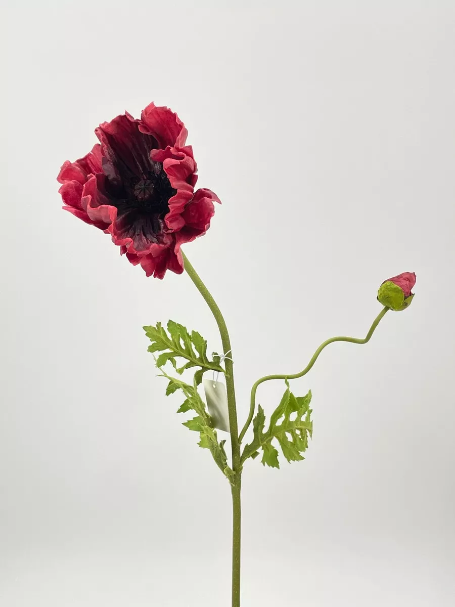 Мак REN-210 красный  Интернет-магазин Feron Flower 