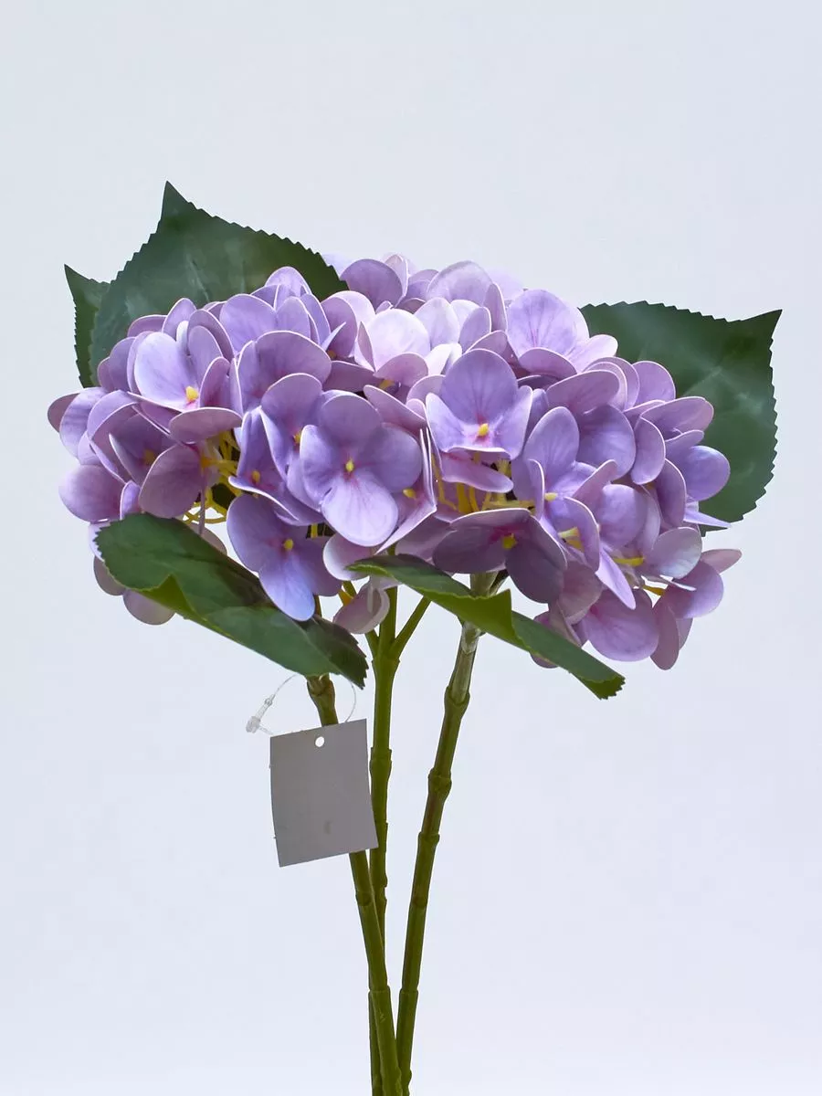 Гортензия K03980  Интернет-магазин Feron Flower 
