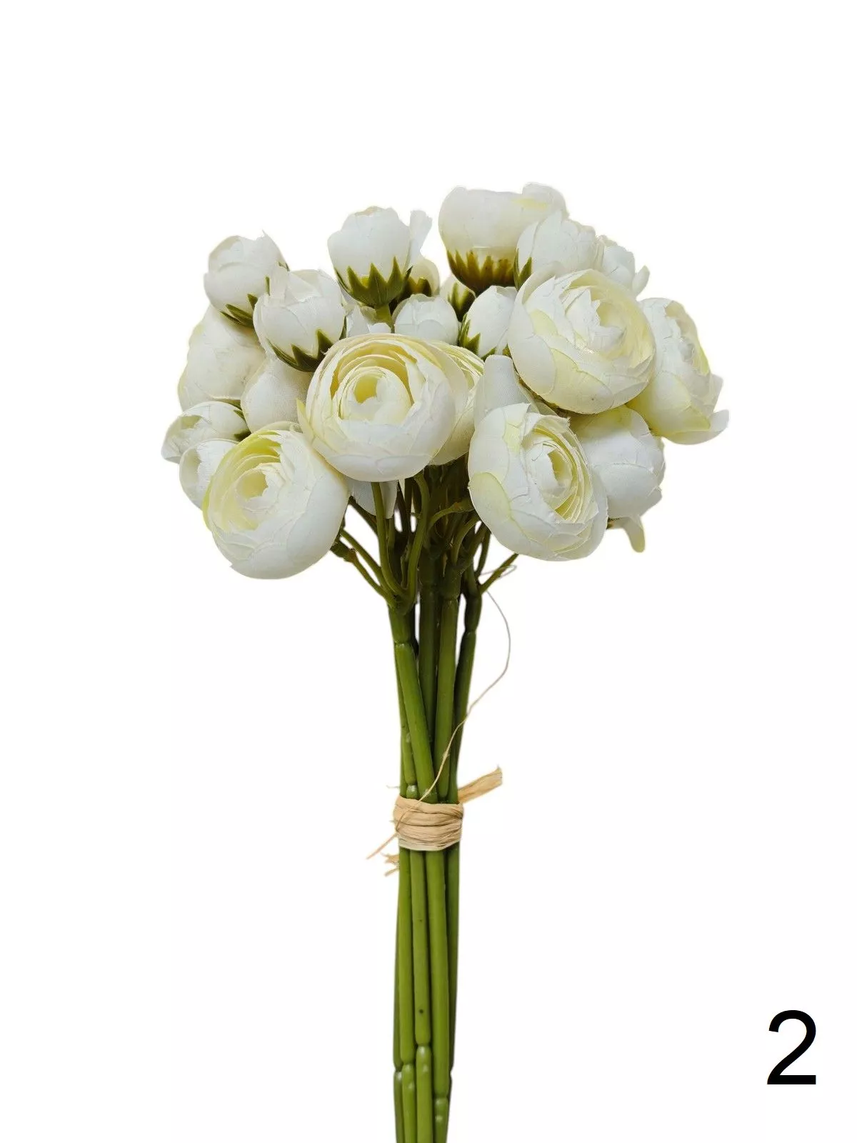 Ранункул бук TNK04  Интернет-магазин Feron Flower 