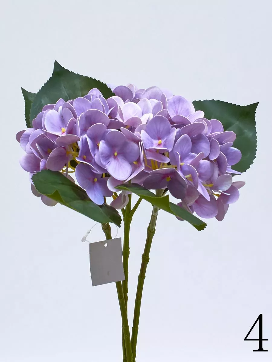 Гортензия K03980  Интернет-магазин Feron Flower 